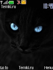 Черная кошка для Nokia Asha 201