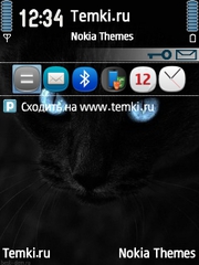 Черная кошка для Nokia 5500