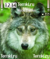 Волк для Nokia 6670