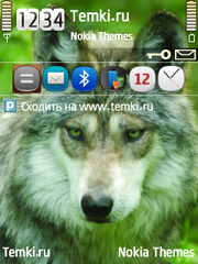 Волк для Nokia 5700 XpressMusic