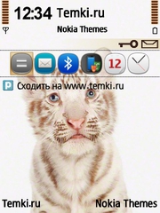 Тигренок для Nokia E71