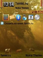 Коровки для Nokia N96