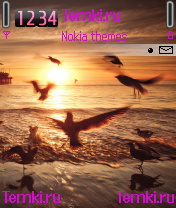 Чайки на закате для Nokia N72
