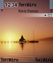 Отражение для Nokia 6670