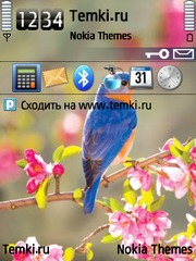 Птица для Nokia 6650 T-Mobile