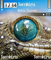 Глаз геккона для Nokia 6260