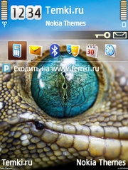 Глаз геккона для Nokia 6730 classic