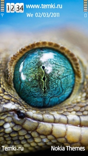 Глаз геккона