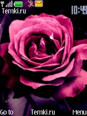 Розовая роза для Nokia 3610 fold