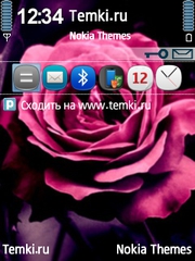 Розовая роза для Nokia N95