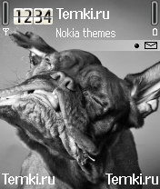 Собачья мордаха для Nokia N90