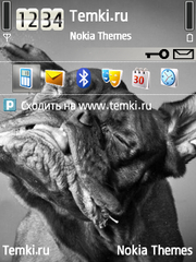 Собачья мордаха для Nokia E50