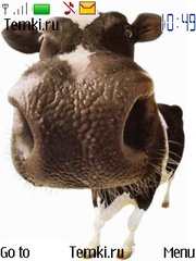 Коровий носик для Nokia 6600 fold
