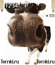 Коровий носик для Nokia N90
