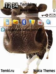 Коровий носик для Nokia 3250