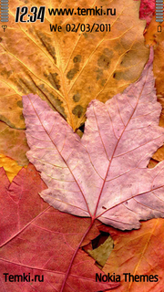 Яркие листья для Sony Ericsson Satio