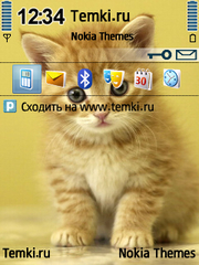 Рыжий малыш для Nokia E61
