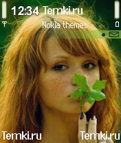 Рыжая для Nokia N90
