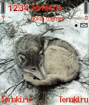 Волчонок отдыхает для Nokia 6630