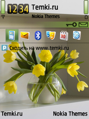 Букет для Nokia N76
