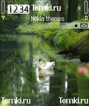 Белый лебедь для Nokia N72