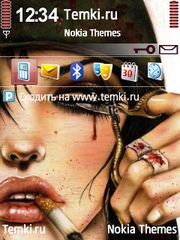 Солдатка для Nokia 6760 Slide