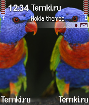 Попугайчики для Nokia N72