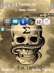 Змея и Череп для Nokia E70