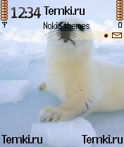 Тюлень На Льдине для Nokia 6260
