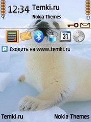 Тюлень На Льдине для Nokia 5700 XpressMusic