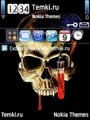 Череп для Nokia 6790 Slide