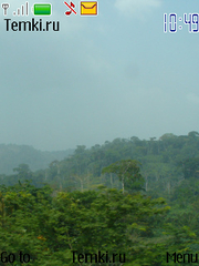 Тропический лес для Nokia 7900 Prism