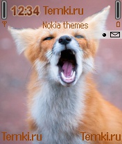 Лисичка для Nokia 6681
