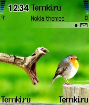 Птичка,обернись для Nokia 6600