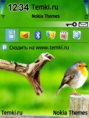 Птичка,обернись для Nokia 6790 Surge