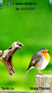 Птичка,обернись для Sony Ericsson Kanna