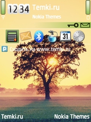 Закат для Nokia N82