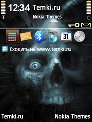 Черепушка для Nokia N73