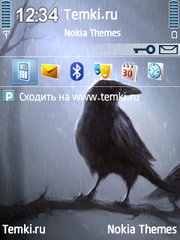 Ворон для Nokia 6760 Slide