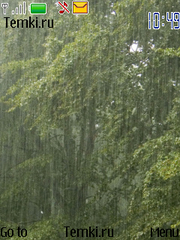 Дождь в лесу для Nokia 6216 Classic