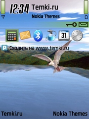 Белая птица для Nokia E5-00
