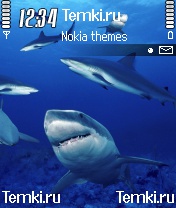 Акулы В Море для Nokia N90