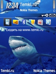 Акулы В Море для Nokia E73 Mode