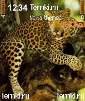Леопард на ветвях для S60 2nd Edition