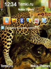 Леопард на ветвях для Nokia 6790 Slide