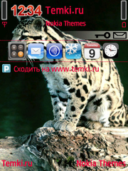 Странный зверь для Nokia X5-00