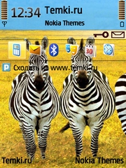 Зебры для Nokia N95-3NAM