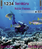 Дайвинг для Nokia N70