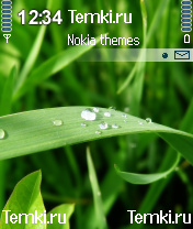 Капли на траве для Nokia 6620