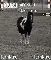 Лошадь для Nokia 3230